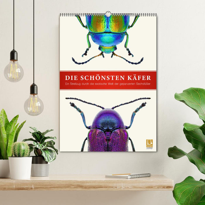 Die schönsten Käfer (CALVENDO Wandkalender 2026)