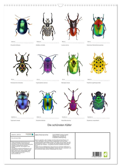 Die schönsten Käfer (CALVENDO Wandkalender 2026)