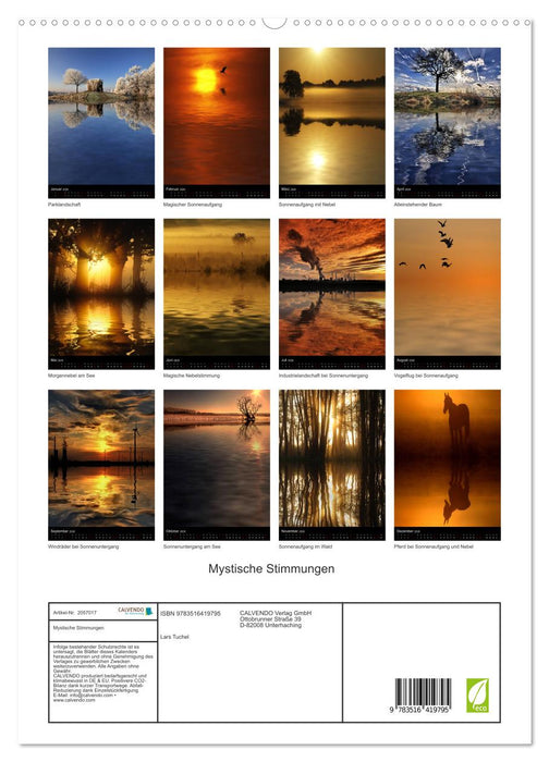 Mystische Stimmungen (CALVENDO Premium Wandkalender 2026)