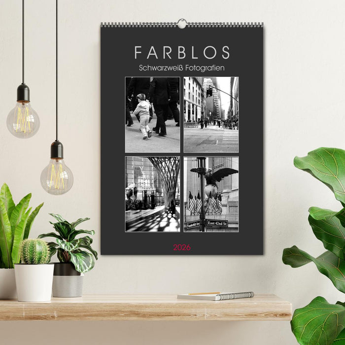 F A R B L O S - Schwarzweiß Fotografien (CALVENDO Wandkalender 2026)
