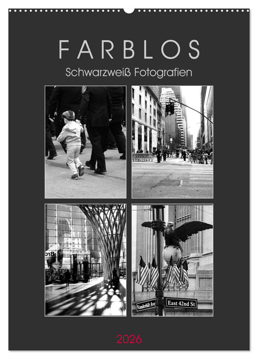 F A R B L O S - Schwarzweiß Fotografien (CALVENDO Wandkalender 2026)
