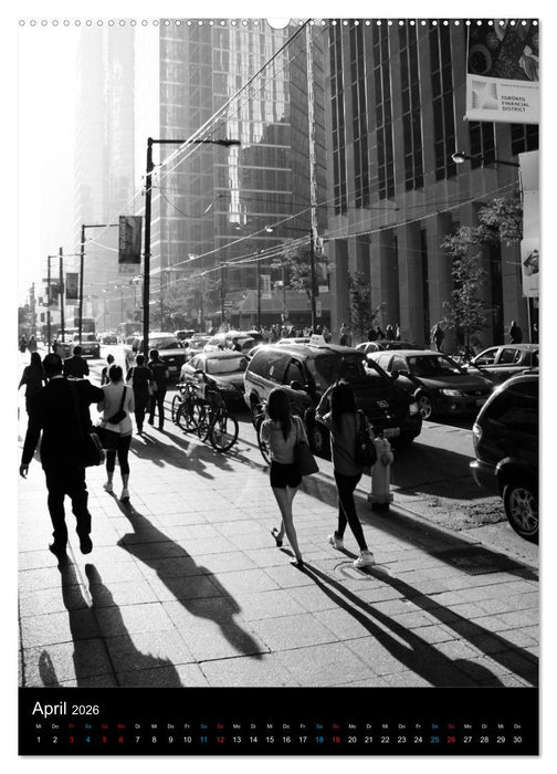 F A R B L O S - Schwarzweiß Fotografien (CALVENDO Wandkalender 2026)