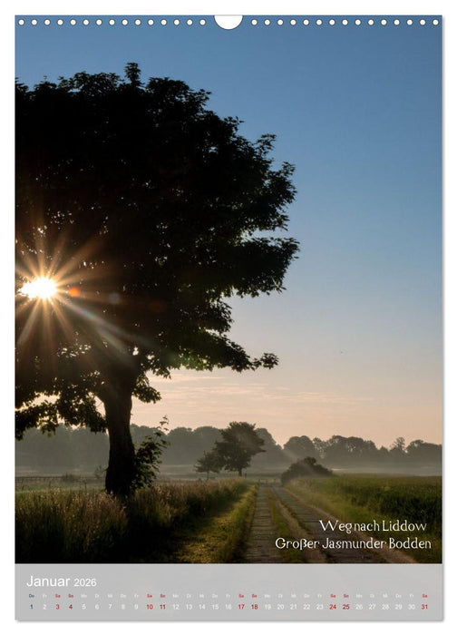 Schönheiten auf der Insel Rügen (CALVENDO Wandkalender 2026)