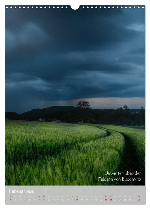Schönheiten auf der Insel Rügen (CALVENDO Wandkalender 2026)