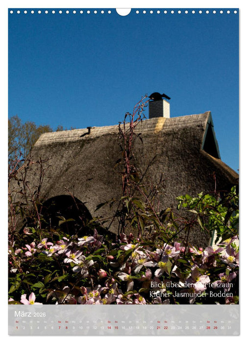 Schönheiten auf der Insel Rügen (CALVENDO Wandkalender 2026)