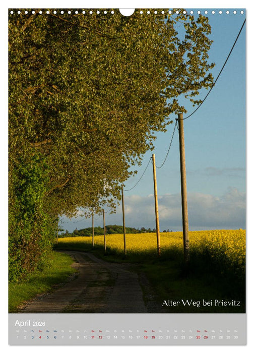 Schönheiten auf der Insel Rügen (CALVENDO Wandkalender 2026)