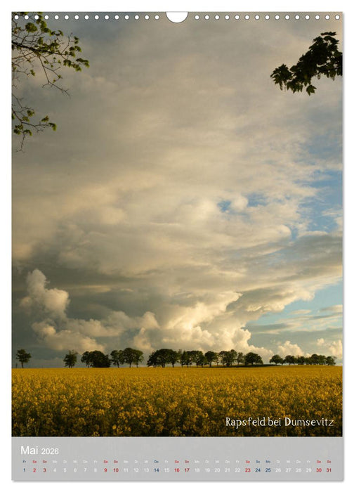 Schönheiten auf der Insel Rügen (CALVENDO Wandkalender 2026)