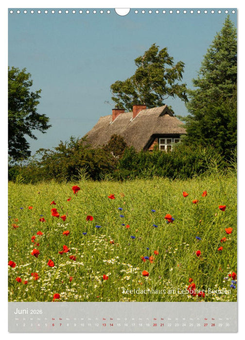 Schönheiten auf der Insel Rügen (CALVENDO Wandkalender 2026)