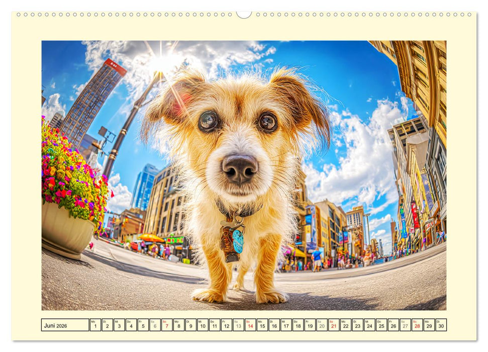 Mischlingshunde. Geliebt, schön und bunter als jeder Stammbaum (CALVENDO Wandkalender 2026)