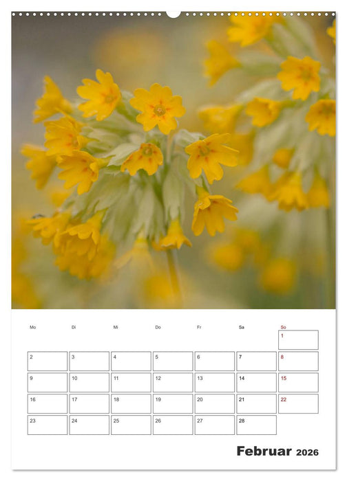 Farbiger Blütentraum (CALVENDO Wandkalender 2026)