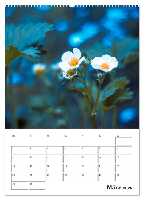Farbiger Blütentraum (CALVENDO Wandkalender 2026)