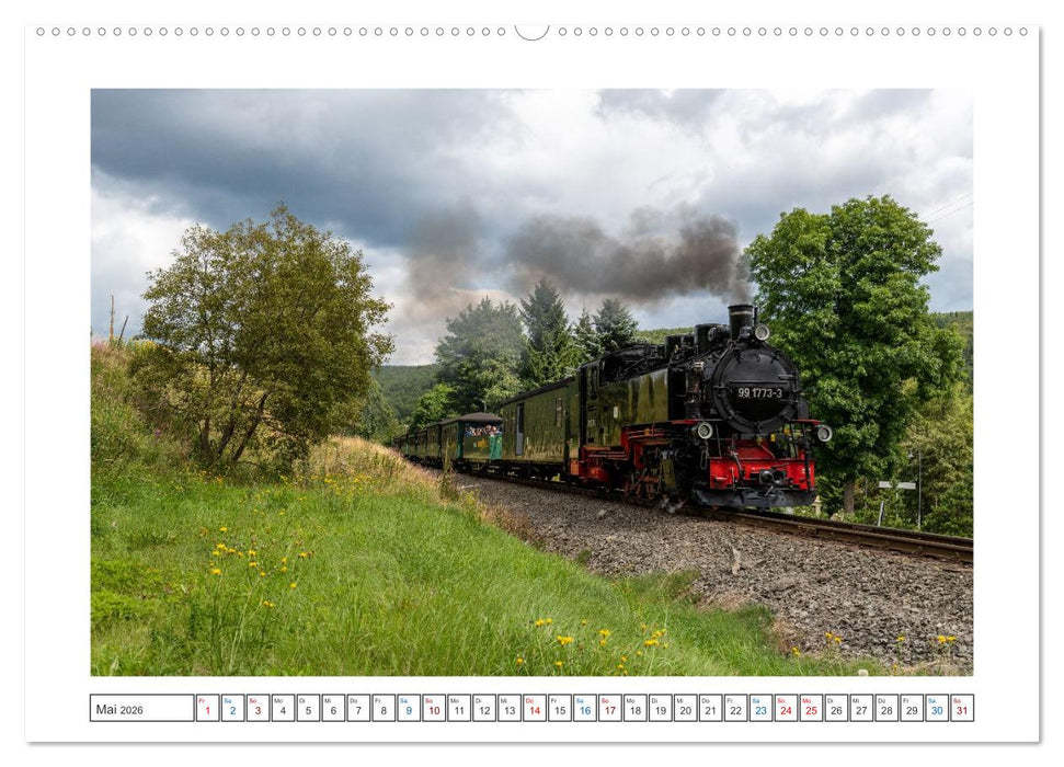 Volldampf voraus! (CALVENDO Wandkalender 2026)