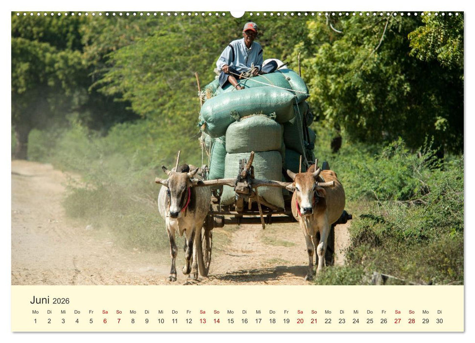 Leben in Myanmar (CALVENDO Wandkalender 2026)