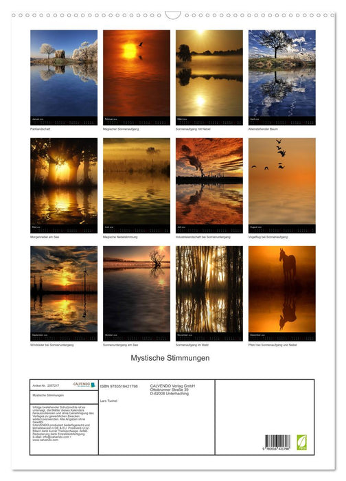 Mystische Stimmungen (CALVENDO Wandkalender 2026)