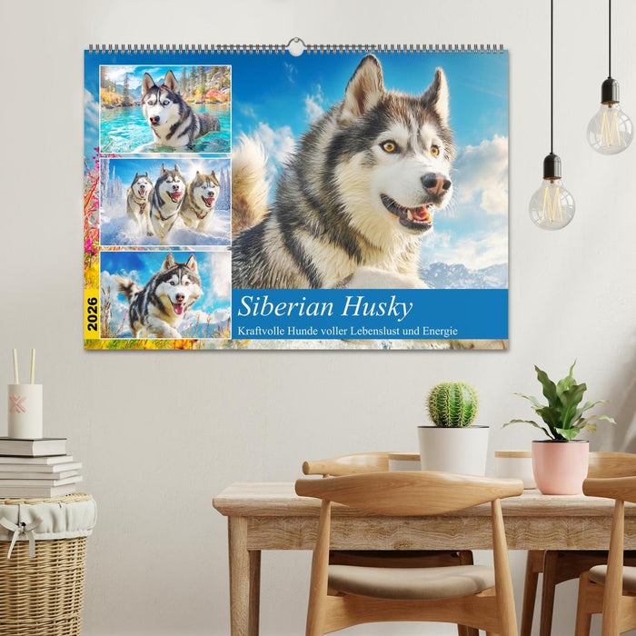 Siberian Husky. Kraftvolle Hunde voller Lebenslust und Energie (CALVENDO Wandkalender 2026)