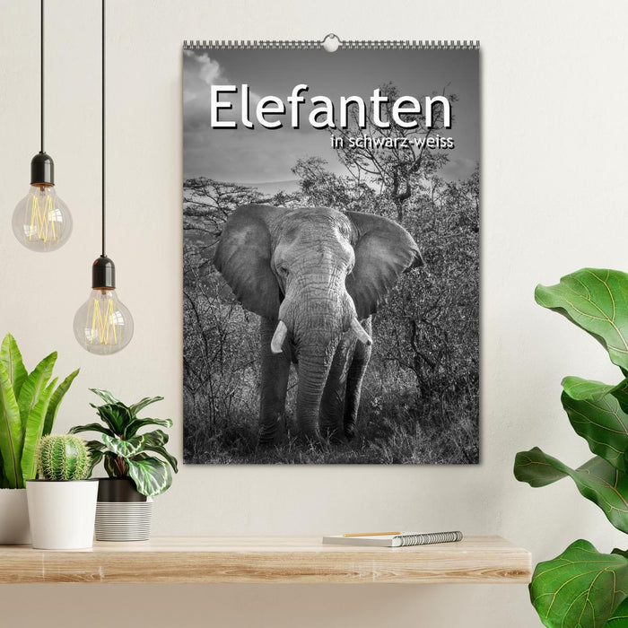 Elefanten in schwarz-weiss (CALVENDO Wandkalender 2026)
