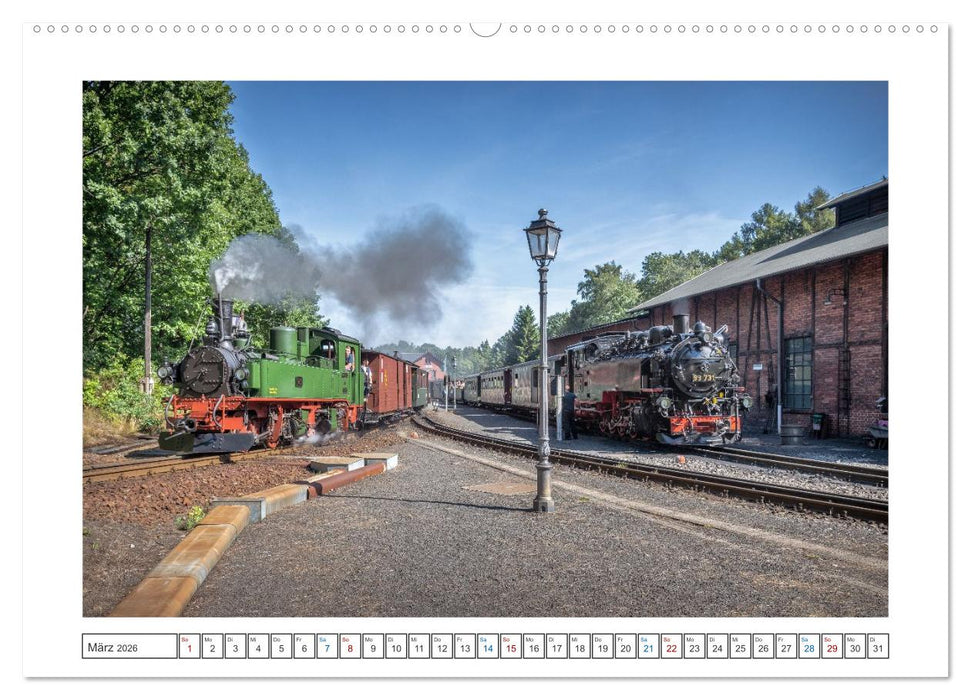 Volldampf voraus! (CALVENDO Premium Wandkalender 2026)