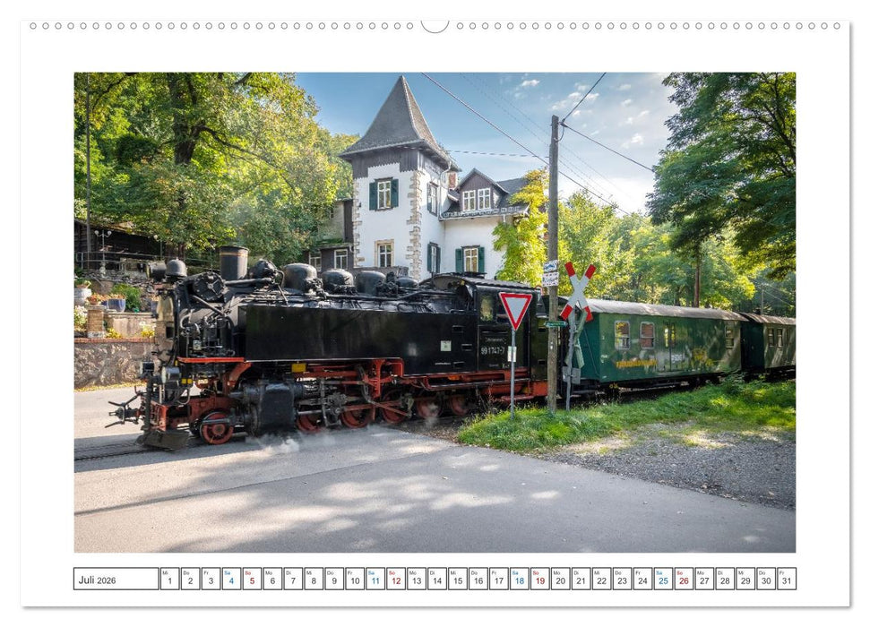 Volldampf voraus! (CALVENDO Premium Wandkalender 2026)