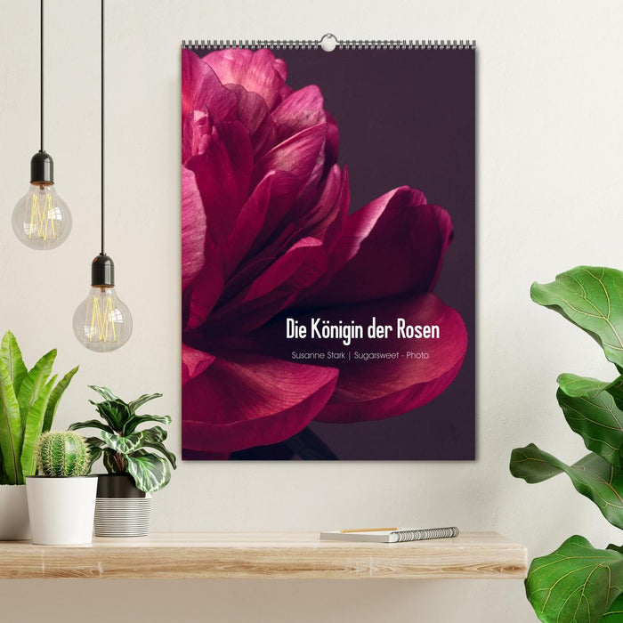 Die Königin der Rosen (CALVENDO Wandkalender 2026)