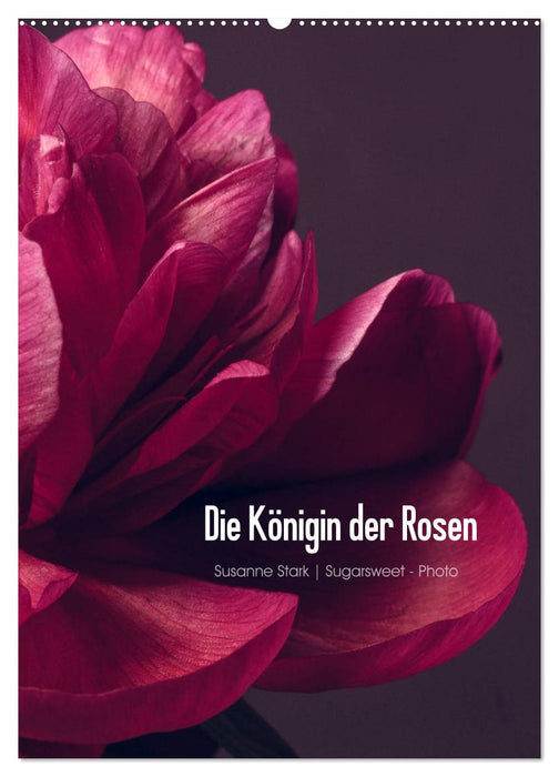 Die Königin der Rosen (CALVENDO Wandkalender 2026)