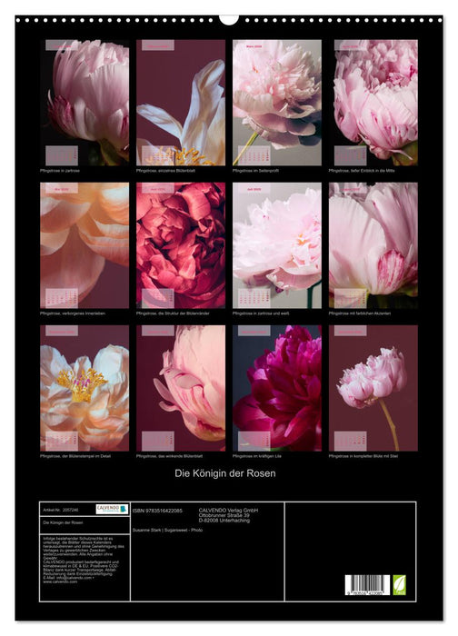 Die Königin der Rosen (CALVENDO Wandkalender 2026)