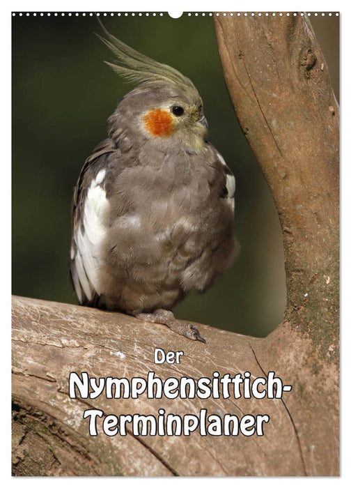 Der Nymphensittich-Terminplaner (CALVENDO Wandkalender 2026)