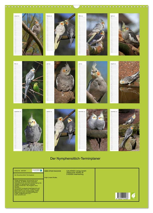 Der Nymphensittich-Terminplaner (CALVENDO Wandkalender 2026)