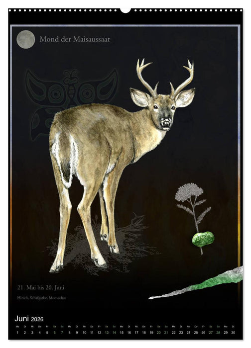 Medizinrad - die indianischen Monde im Jahreskreis (CALVENDO Wandkalender 2026)