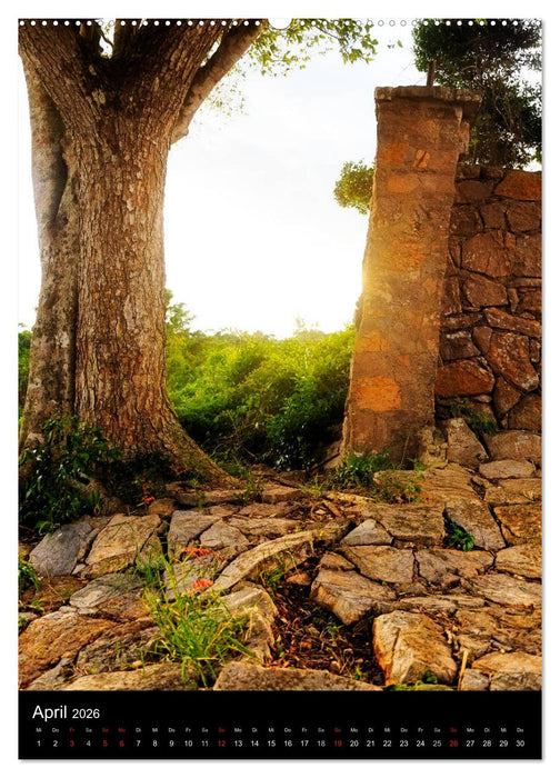 Kuba - Paradies in der Karibik (CALVENDO Premium Wandkalender 2026)