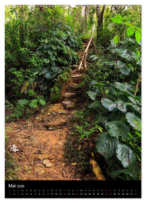 Kuba - Paradies in der Karibik (CALVENDO Premium Wandkalender 2026)