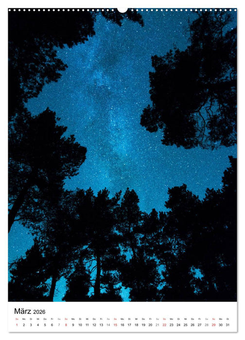 Der Harz - Malerische Orte (CALVENDO Premium Wandkalender 2026)