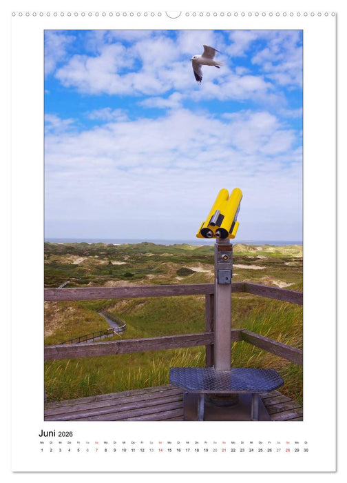 Amrum - Oomram, Kleine Insel - Große Vielfalt (CALVENDO Premium Wandkalender 2026)