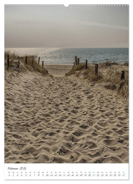 Jütlands Nordsee (CALVENDO Wandkalender 2026)