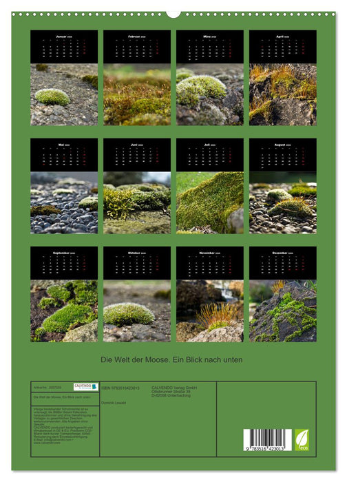 Die Welt der Moose. Ein Blick nach unten (CALVENDO Premium Wandkalender 2026)