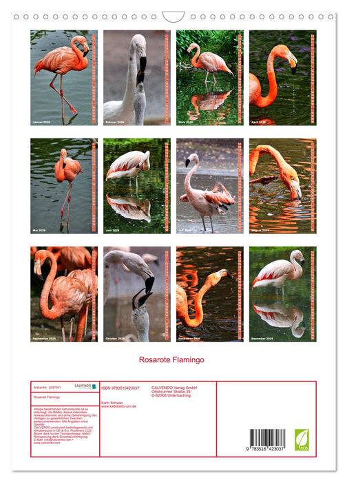 Rosarote Flamingo (CALVENDO Wandkalender 2026)