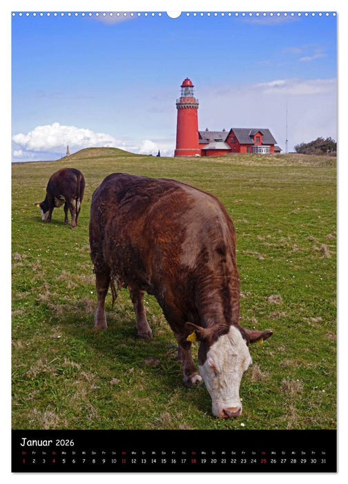 Jütlands Westküste 2026 (CALVENDO Premium Wandkalender 2026)