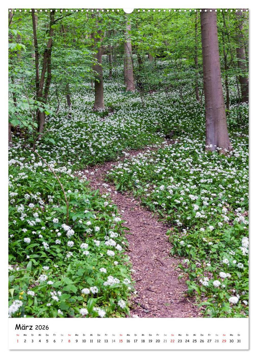 Neue Wege gehen (CALVENDO Premium Wandkalender 2026)