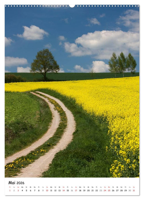 Neue Wege gehen (CALVENDO Premium Wandkalender 2026)