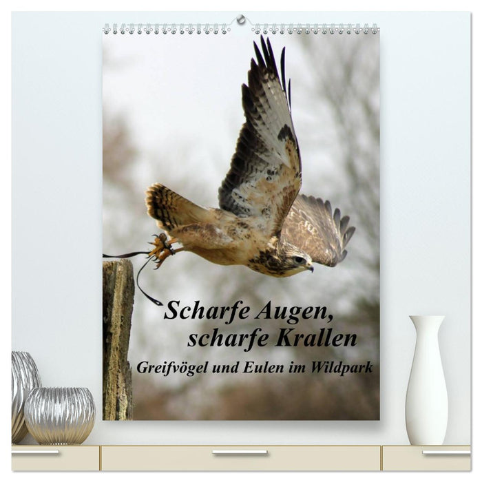 Scharfe Krallen, scharfe Augen, Greifvögel und Eulen im Wildpark (CALVENDO Premium Wandkalender 2026)