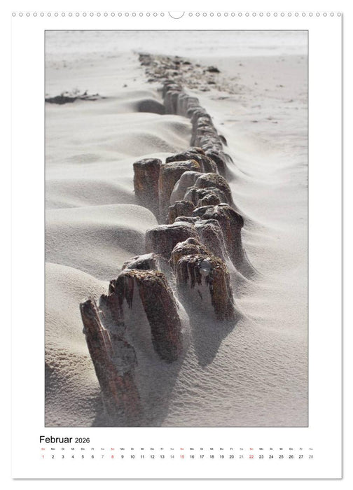 Amrum - Oomram, Kleine Insel - Große Vielfalt (CALVENDO Wandkalender 2026)