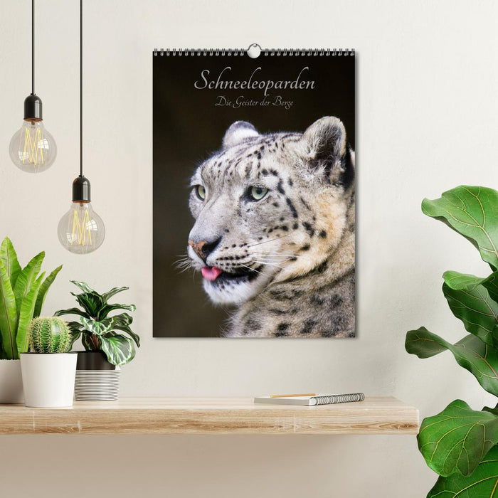 Schneeleoparden - Die Geister der Berge (CALVENDO Wandkalender 2026)