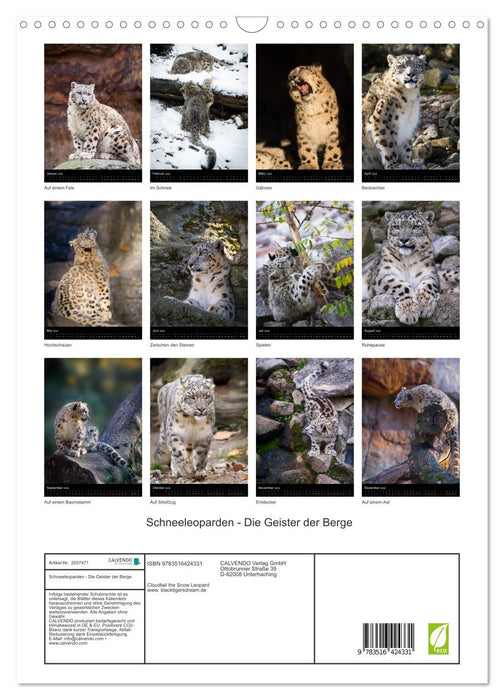 Schneeleoparden - Die Geister der Berge (CALVENDO Wandkalender 2026)
