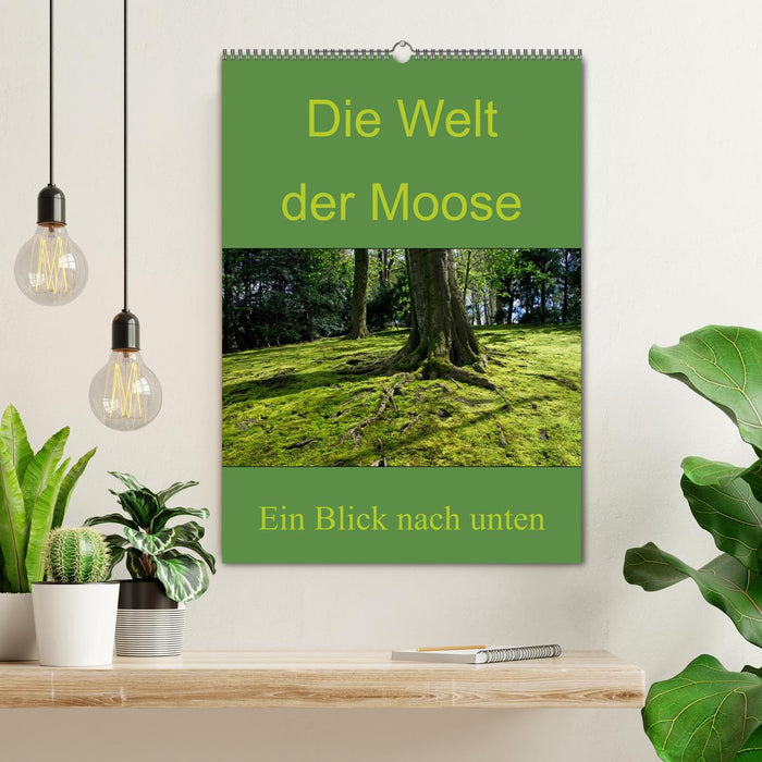 Die Welt der Moose. Ein Blick nach unten (CALVENDO Wandkalender 2026)