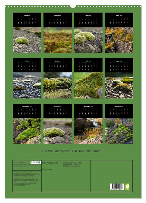 Die Welt der Moose. Ein Blick nach unten (CALVENDO Wandkalender 2026)