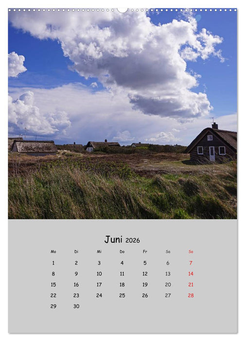 Dänemarks Westküste 2026 (CALVENDO Wandkalender 2026)