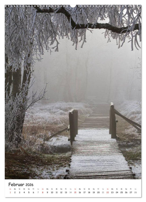 Neue Wege gehen (CALVENDO Wandkalender 2026)