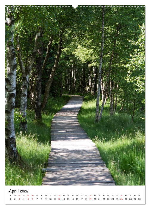 Neue Wege gehen (CALVENDO Wandkalender 2026)