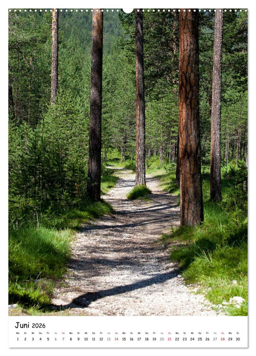 Neue Wege gehen (CALVENDO Wandkalender 2026)