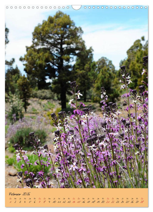 Vulkaninsel Teneriffa (CALVENDO Wandkalender 2026)