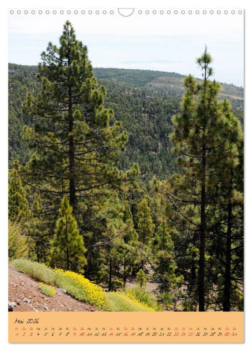 Vulkaninsel Teneriffa (CALVENDO Wandkalender 2026)